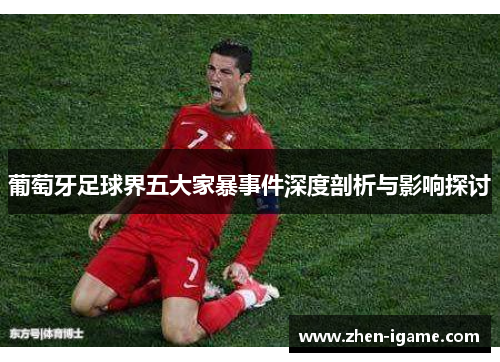 葡萄牙足球界五大家暴事件深度剖析与影响探讨